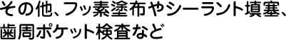 その他、フッ素塗布やシーラント填塞、歯周ポケット検査など